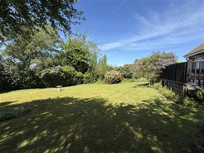 Picture 25